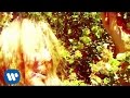 The Flaming Lips - See The Leaves (Blistering ...