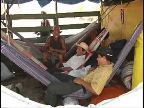 Documentário Sobre A Vida Do Pantaneiro Parte 2