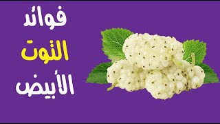 ما هي فوائد التوت الأبيض ؟ ما هي فوائد التوت الأبيض ؟