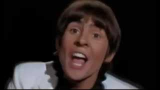 The Monkees - Daddy&#39;s Song