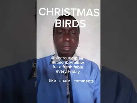 CHRISTMAS BIRDS: Life building fable @sieercuumpieer # #motivation #succees #Life #fuuny #short