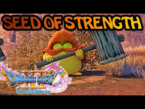 DRAGON QUEST XI QUICK GUIDE - FARMING SEED OF STRENGTH