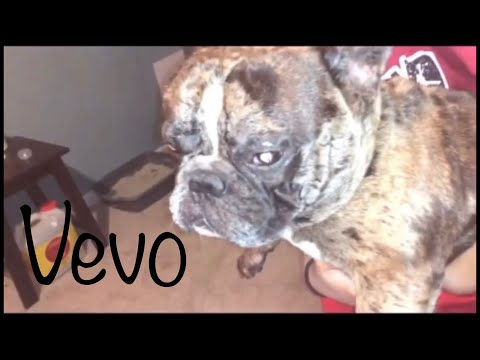 Lil Jshmoney - 345 FREESTYLE (OFFICIAL MUSIC VIDEO) shot by ​⁠@hiphophavenTV