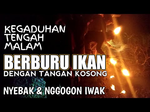 resiko-berburu-ikan-tengah-malam-evlog-14