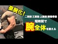 【筋トレ】豪腕化!腕全体をバランスよく鍛えるトレーニング!