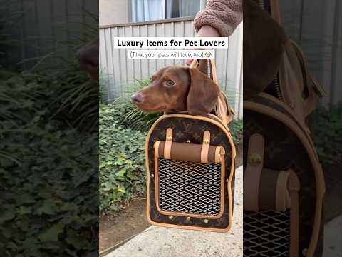 Luxury Pet Accessories