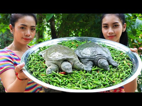Yummy cooking turtle with chili recipe - Natural Life TV