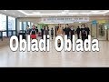 Obladi Oblada Line Dance(Phrased Easy Intermediate)Marchy Susilani