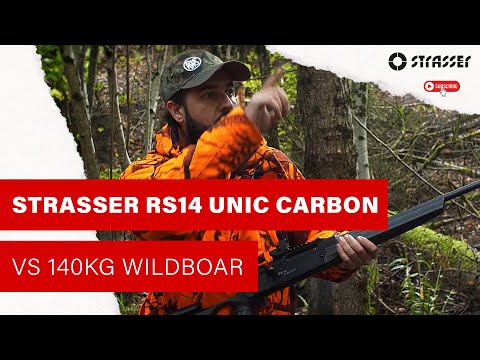 STRASSER RS14 UNIC Carbon vs 140kg wildboar