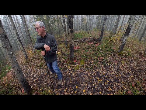 Fall colors and fog  — Hiking the Secret Trail