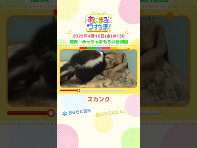 動画イメージ
