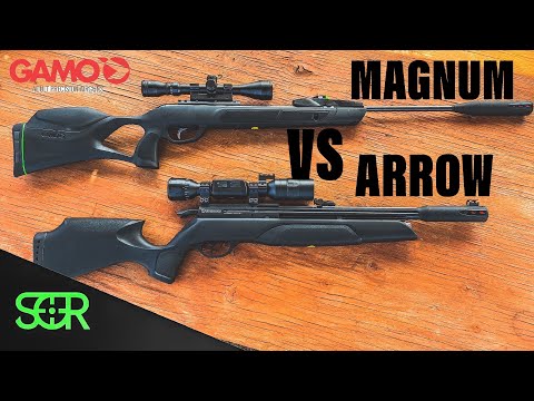 Gamo Arrow VS Magnum Swarm 10X GEN3i - BATTLE OF THE .22 GAMO AIRGUN!