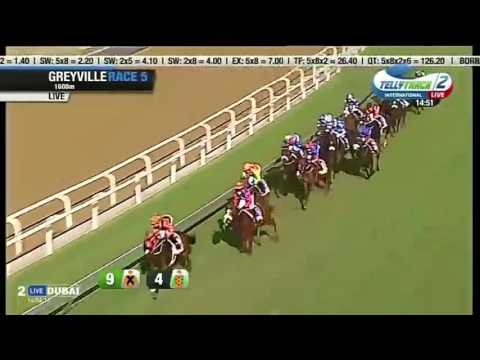 2016.07.31 Thekwini Stakes (RSA) - Querari Falcon