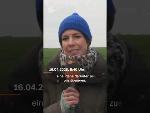 Video Thumbnail: Neuer Rettungsversuch für Buckelwal Timmy #short #shorts #wal #timmy #walrettung #ostsee