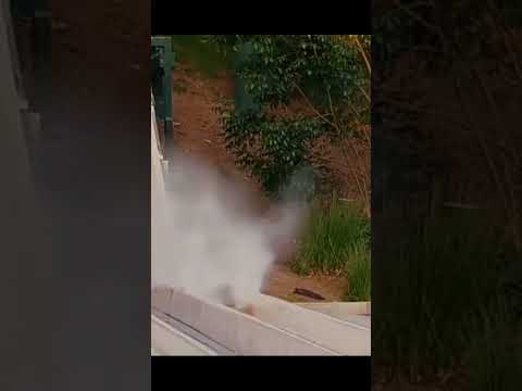 raputia quieras o no #humor #memes #ㅇyㅇ ,f