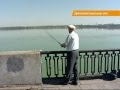 В Днепре появились опасные для человека рыбы-мутанты В Днепре появились опасные для человека рыбы-мутанты