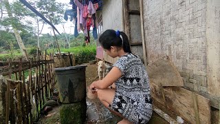 Download lagu Part 2 Tak Di Sangka, Rumah Tengah Sawah Ada Bidadarinya Bikin Betah, Berat Rasanya Untuk Pulang mp3