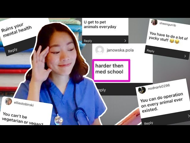 The Realities Of Vet School Myths Debunked And Insights Shared Galaxy Ai