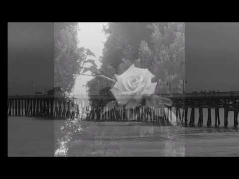 Thể hiện bởi Tâm Thư