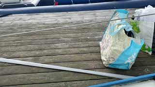 Albin 25 Motor sailor  - Boatshed - Boat Ref#302551