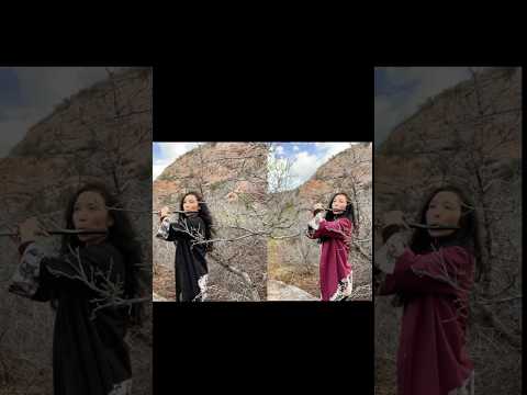 Shinobue Flute: Xenoblade 3 "A Life Sent On" Epic Duet Cover  #shinobue #xenoblade