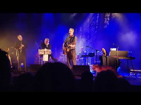 Bad Liver - Fall på knä (Falling down) - Tom Waits in Swedish, live 2019