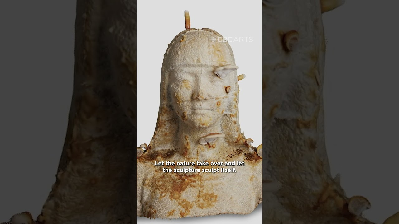 🍄✨ Ethereal mushroom sculptures that sculpt themselves ✨🍄