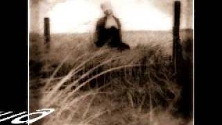 MORTER  SKINNY PUPPY