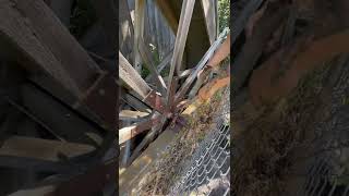 Greasing the dodge bearings #oregon #waterwheel #explore #oregontrail #dodge #youtubeshorts