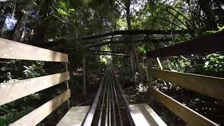 ダタンラの滝　ショートコース帰り道