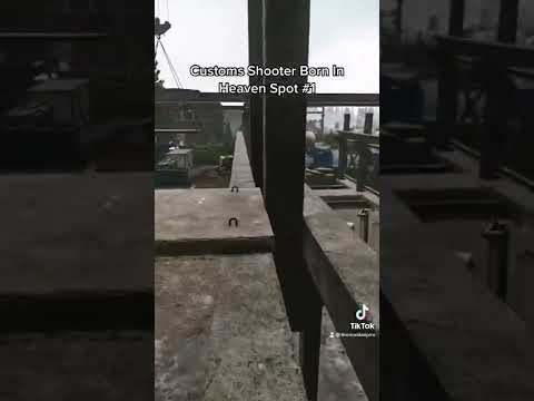Customs Shooter Born In Heaven Spot #1 #eft #escapefromtarkov #eftclips #sniper #twitch #customs
