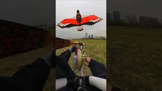 Download lagu How to Control a Layangan Kite Like a Pro 🪁#layangan #shorts mp3