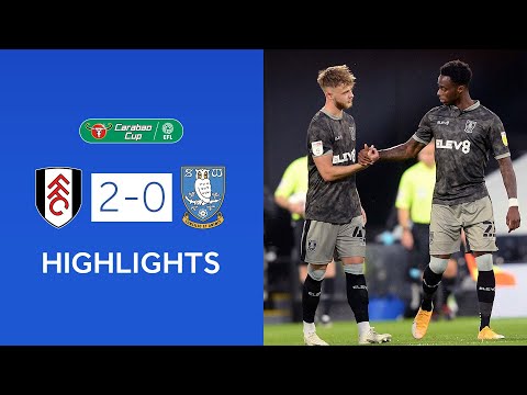 FC Fulham Londra 2-0 FC Sheffield Wednesday  ( Car...