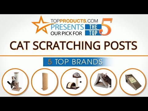 Best Cat Scratching Post Reviews  – How to Choose the Best Cat Scratching Post