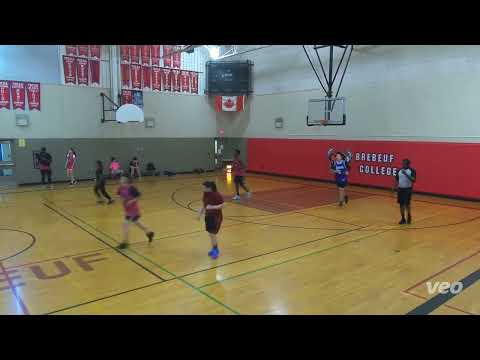 Boxout Brand vs We Showed Up - NOW*TCBL COED - 2022 summer