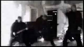 Born From Pain - Day Of The Scorpio (Videoclip)