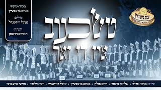 טשכנוב איז די זאך - סינגל עייזר נישואין טשכנוב פ''ו