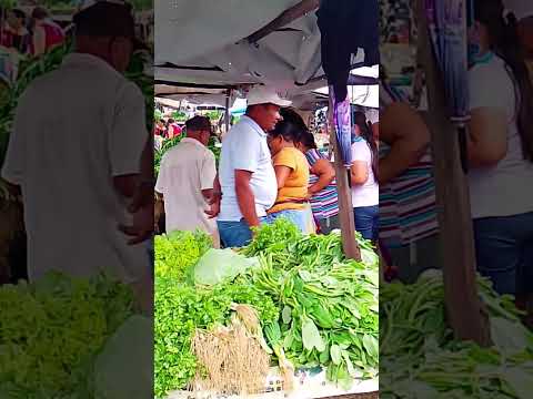 feira do peixe/Viçosa AL 01/04/26