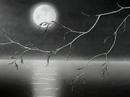 Beethoven / Moonlight Sonata [Reco]