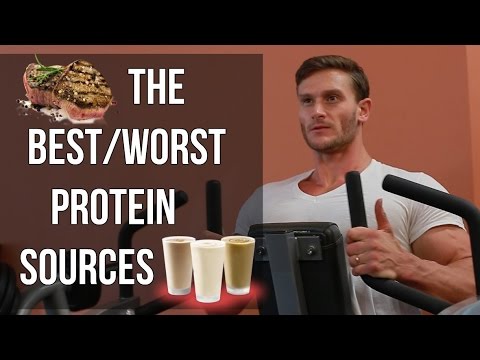 Protein | Best and Worst Protein Sources - Thomas...