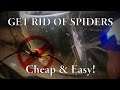 Get Rid Of Spiders Cheap & Easy! (from your car)