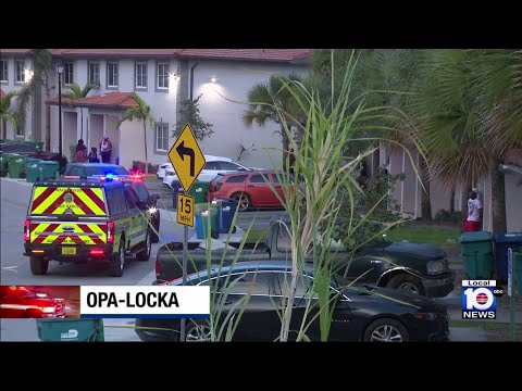 Opa-locka man suffers hand injury after fireworks explosion