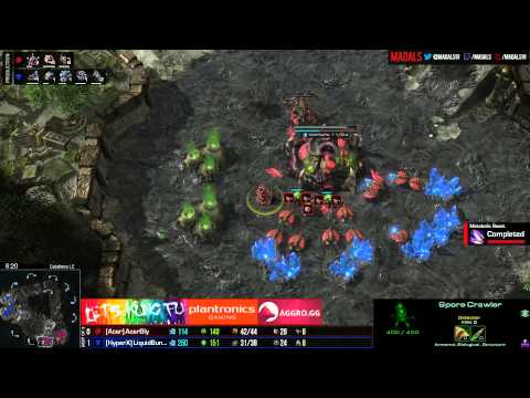 The Foreign Hope   Bunny v Bly TvZ G2