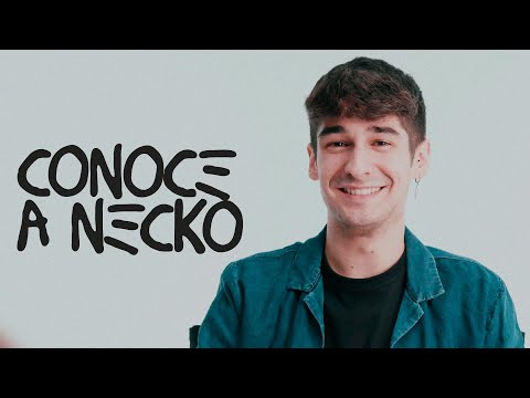 Conoce A Necko