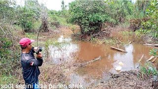 Download lagu Found a spot with lots of fish that people haven't visited yet mp3 Download lagu Found a spot with lots of fish that people haven't visited yet mp3