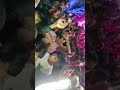 #Barat entry# viral videos# trending # groom entry # aaye dulhe Raja ..