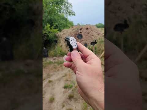 Seecamp .32 ACP Smallest Pistol Ever