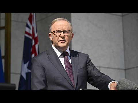 ‘Hypocrite’: Pauline Hanson slams Anthony Albanese over One Nation polling