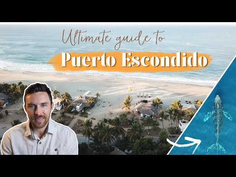 Ultimate Travel Guide to Puerto Escondido Mexico