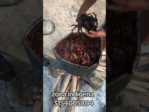 sombrero vueltiao somos fabricantes estamos en tuchin Córdoba hacemos envíos nacionales wh3154005804